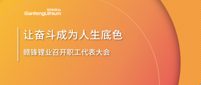 贛鋒鋰業召開職工代表大會 堅持向奮斗者傾斜更多資源